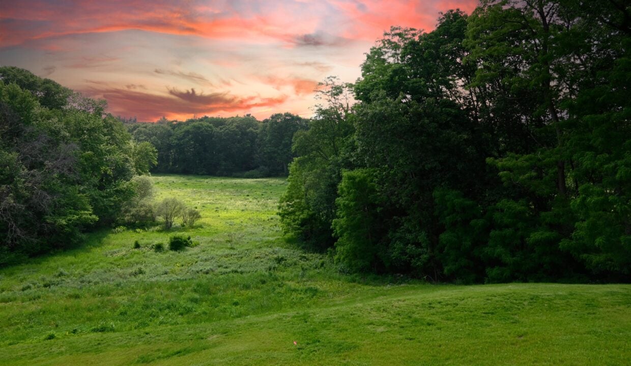 Sunset_DSC2974